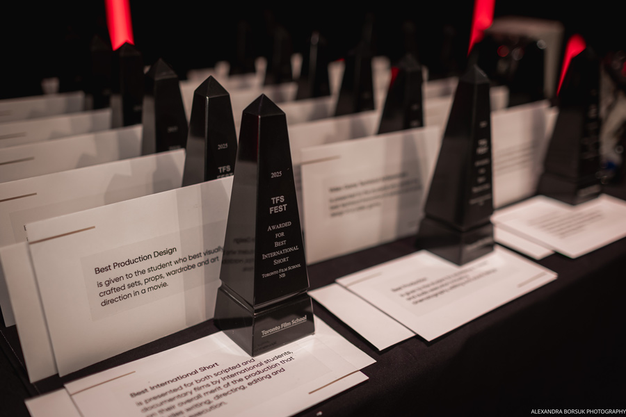 TFS FEST 2025 trophies