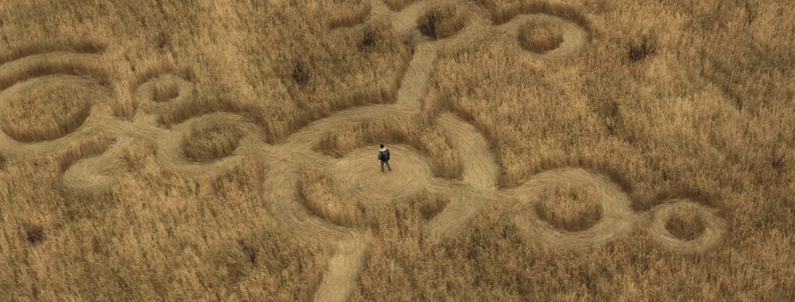 A shot of a man in a field, as crop circles form around him. A shot from the latest Spielberg film Disclosure day. Movie review by Garry Murdock. 